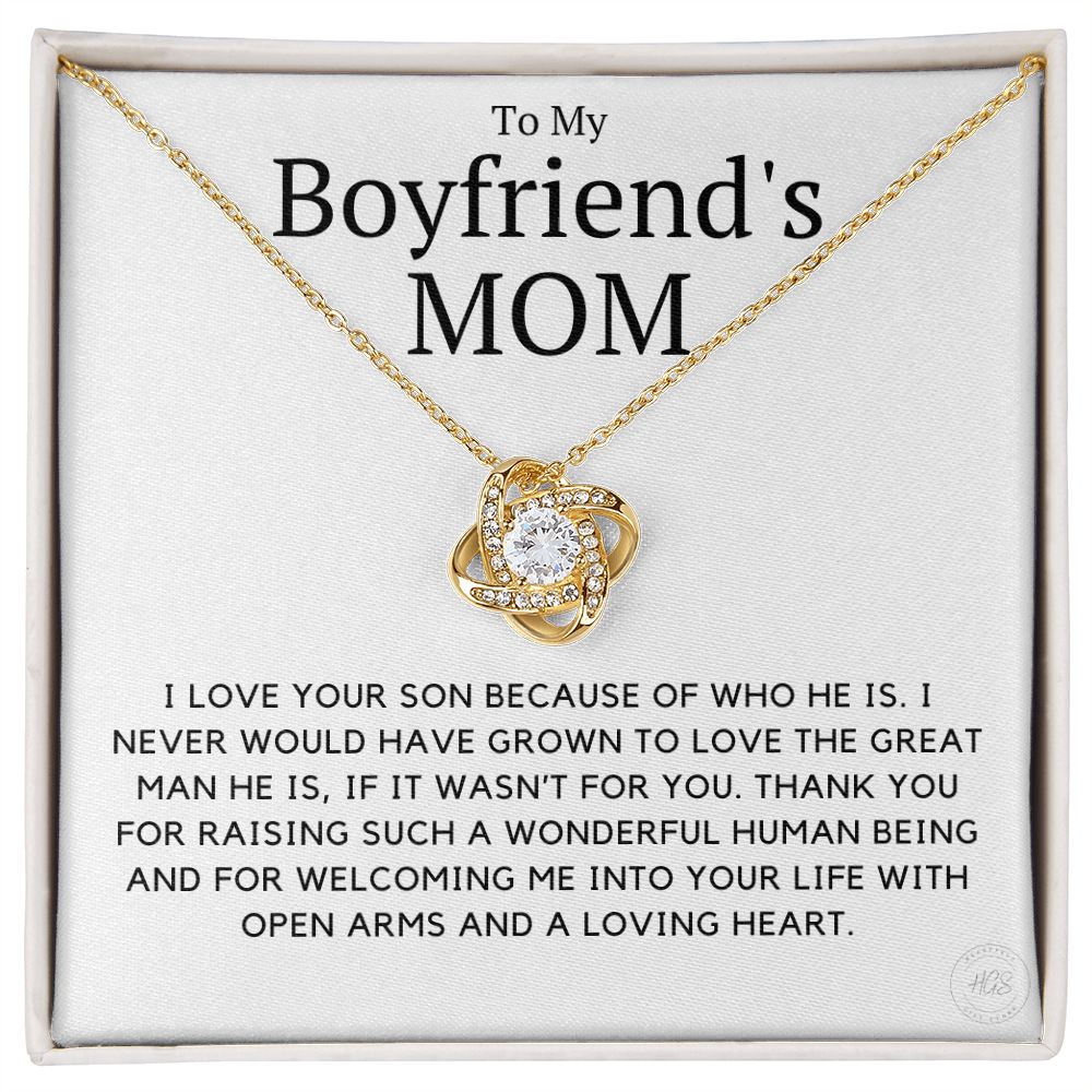 My Boyfriend's Mom, I Love Your Son Because of You