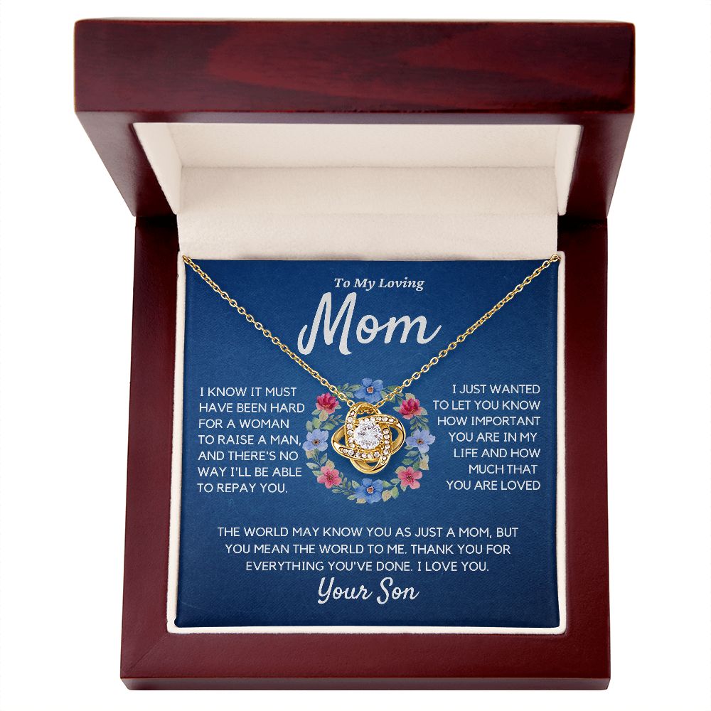 To Mom, from Son, thank you for everything, hgs042