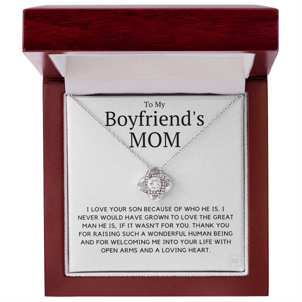 My Boyfriend's Mom, I Love Your Son Because of You
