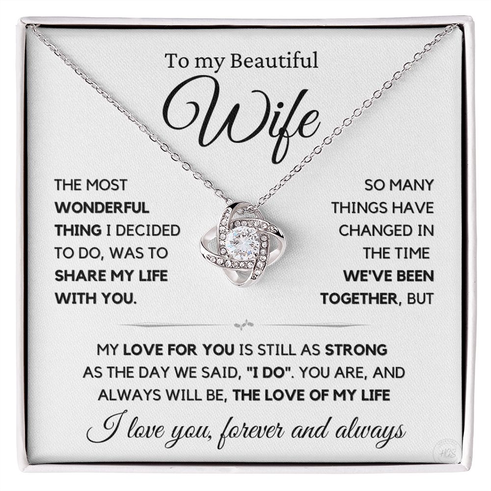 My Beautiful Wife, My Wonderful Life