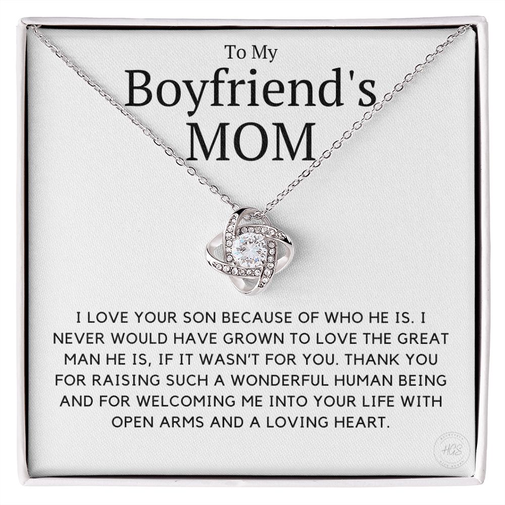 My Boyfriend's Mom, I Love Your Son Because of You