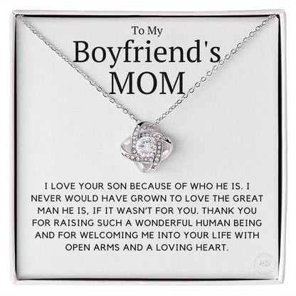 My Boyfriend's Mom, I Love Your Son Because of You
