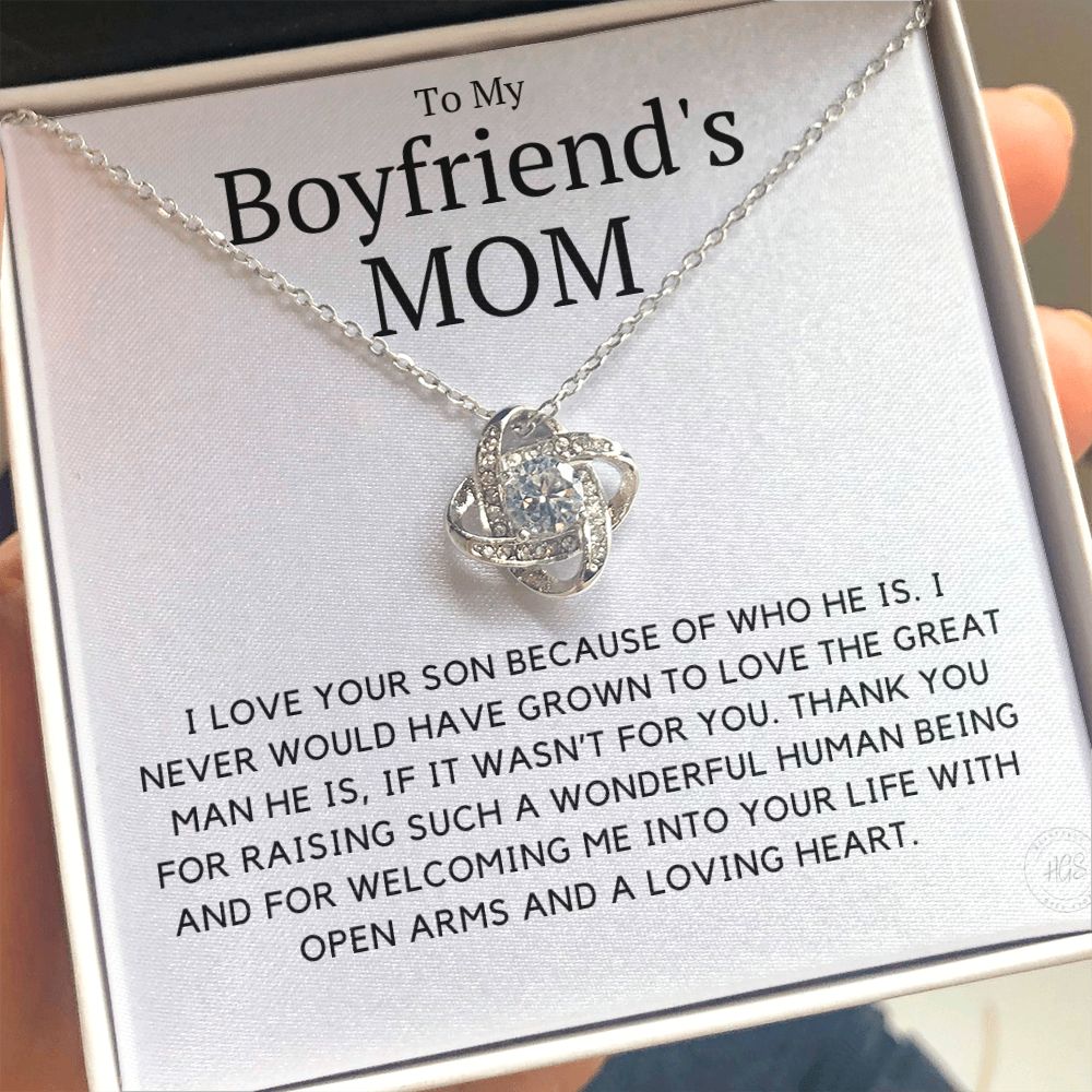 My Boyfriend's Mom, I Love Your Son Because of You