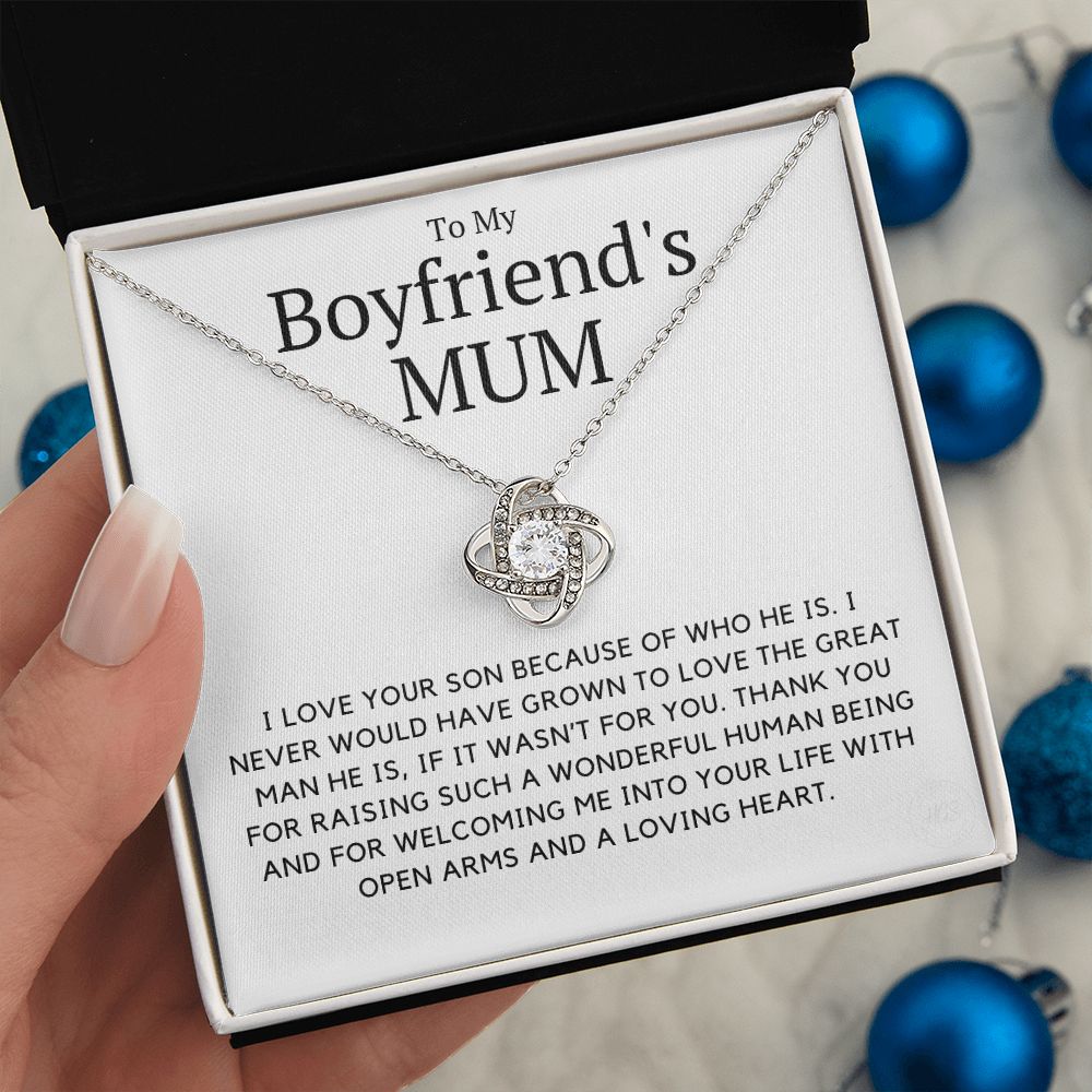 My Boyfriend's Mum, I love your son because of you.