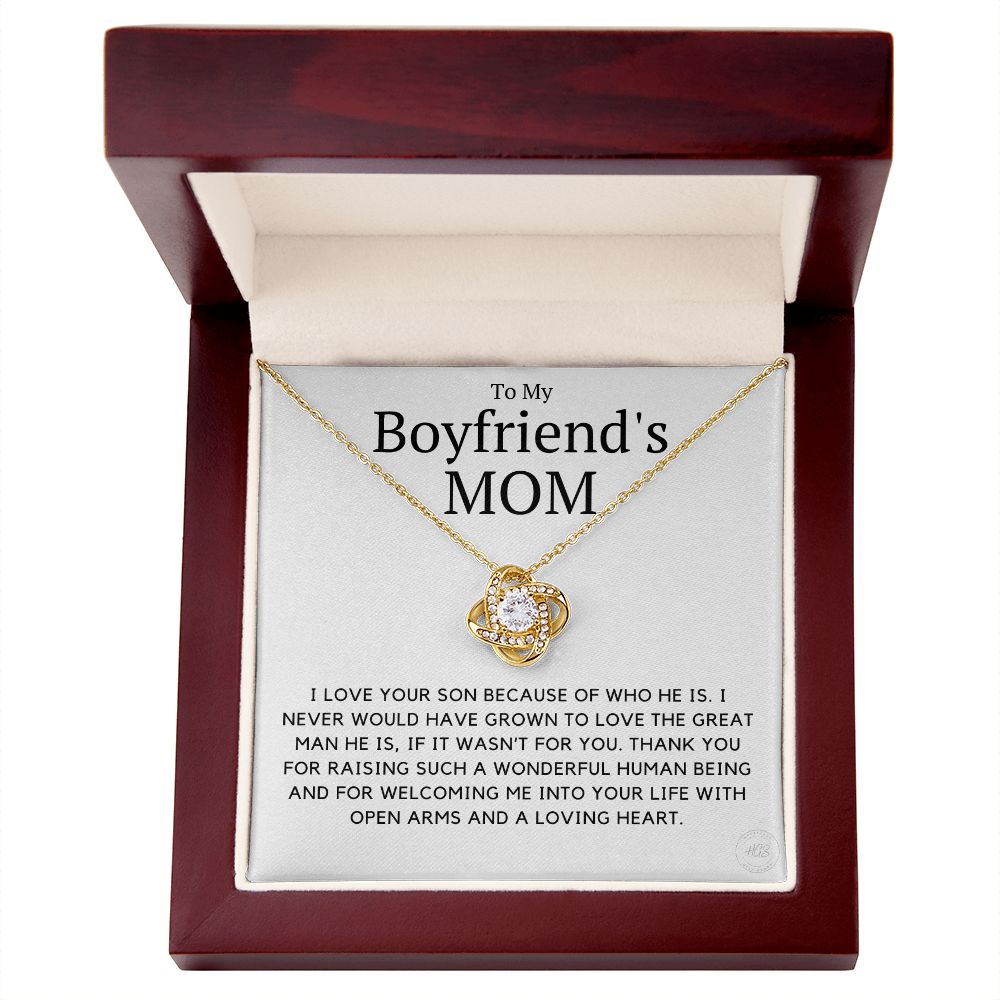 My Boyfriend's Mom, I Love Your Son Because of You
