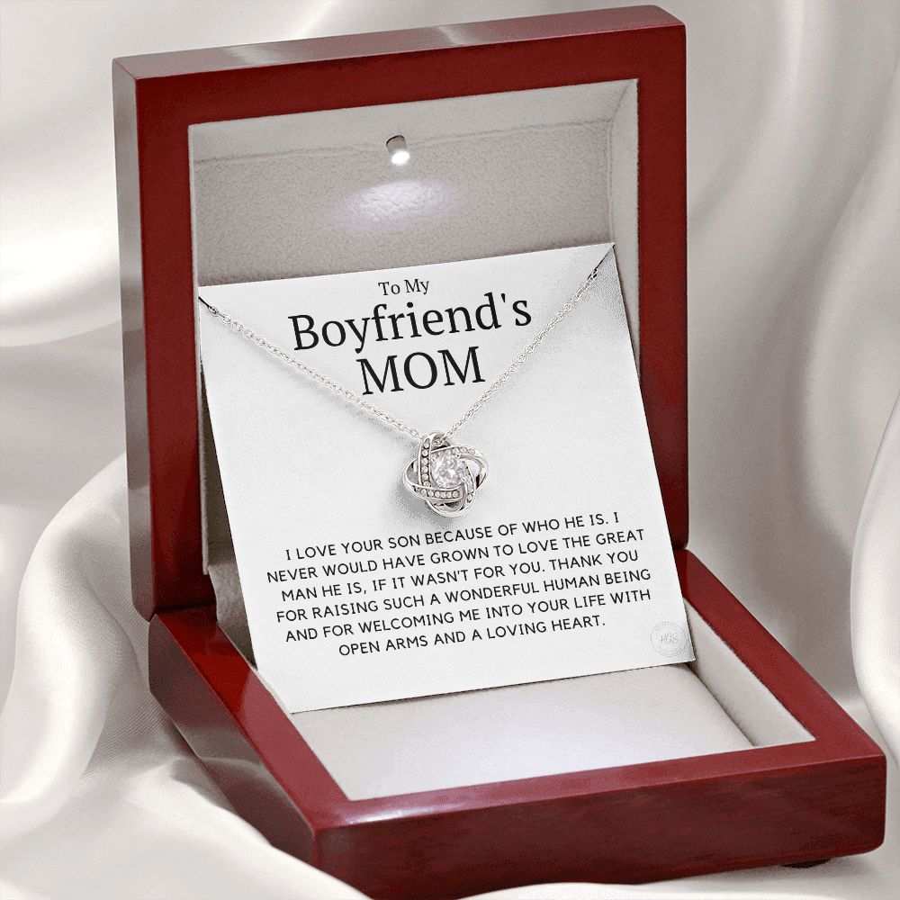 My Boyfriend's Mom, I Love Your Son Because of You