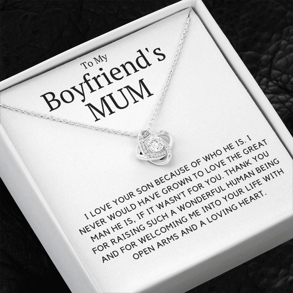 My Boyfriend's Mum, I love your son because of you.