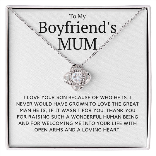 My Boyfriend's Mum, I love your son because of you.