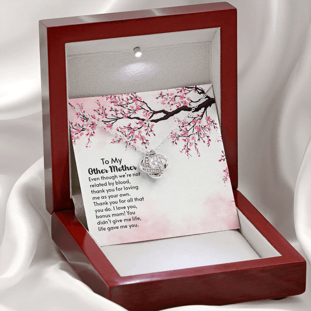 To my Other Mother, you didn't give me life, life gave me you - Love Knot necklace