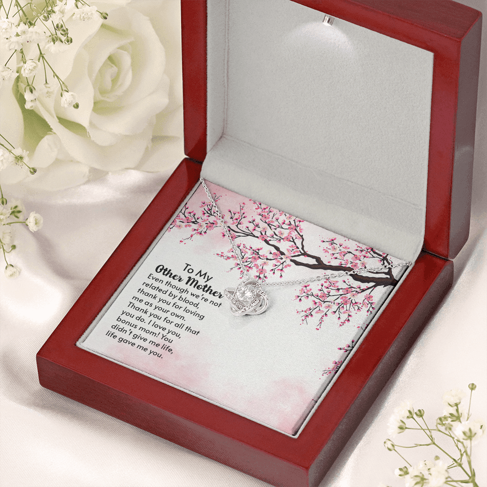 To my Other Mother, you didn't give me life, life gave me you - Love Knot necklace